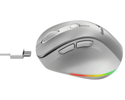 GENIUS Ergo 9000S Pro Silver USB Bežični sivi miš - Image 3