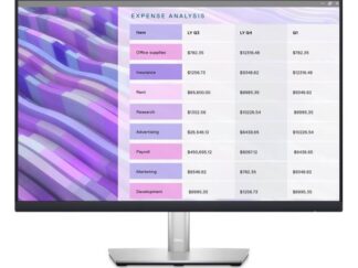 DELL OEM 23.8 inch P2422H Professional IPS monitor