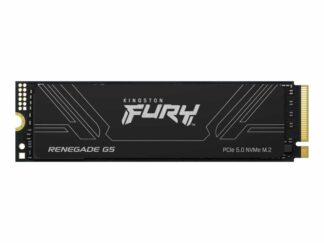 KINGSTON 4TB M.2 NVMe SFYR2S/4T0 SSD FURY Renegade G5 SSD
