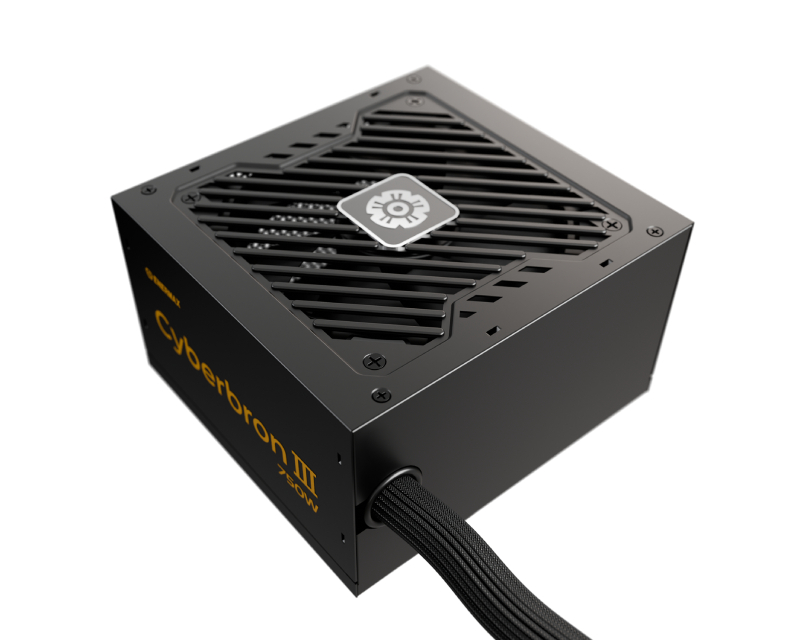 ENERMAX EMB750EWT-NAC CYBERBRON III 750W 80 Plus Bronze napajanje