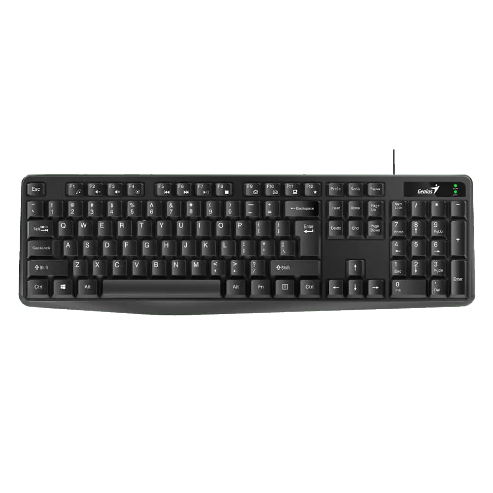 GENIUS KB-117 USB YU crna tastatura