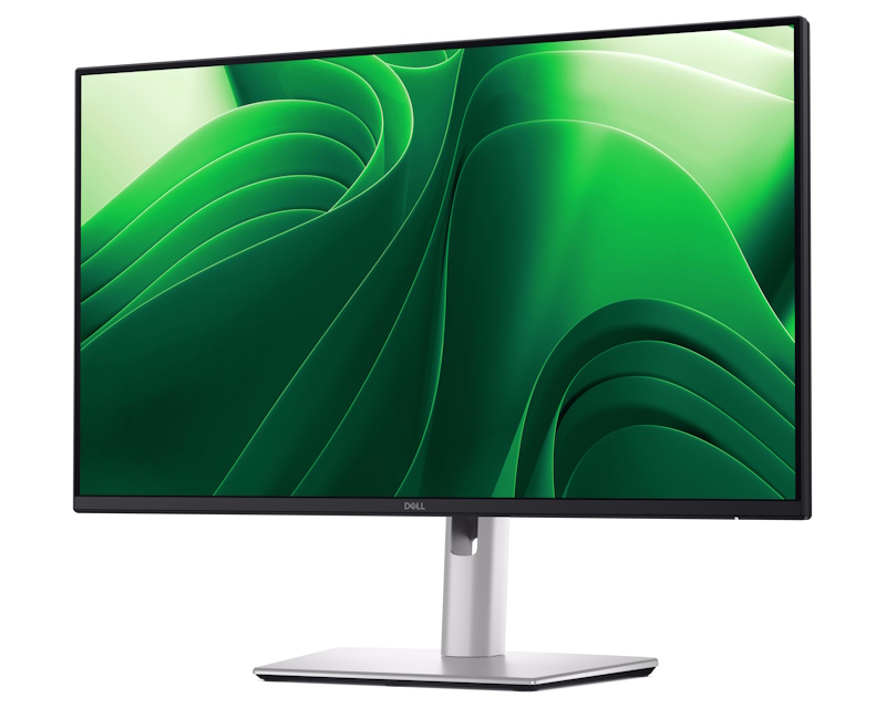 DELL OEM 23.8 inch P2425DE QHD 100Hz USB-C Pro Plus IPS monitor